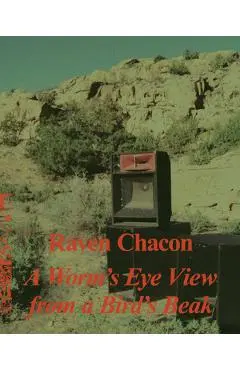 Raven Chacon: A Worm's Eye View from a Bird's Beak - Alison Coplan