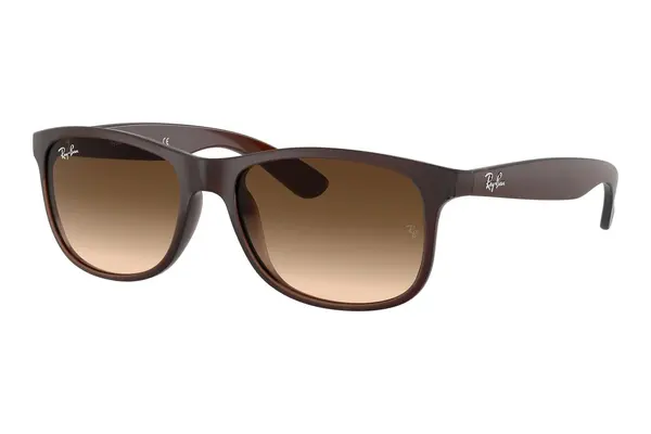 Ray-Ban Andy RB4202 607313