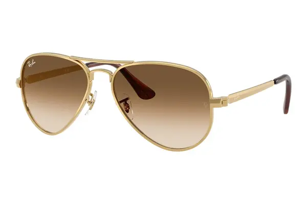 Ray-Ban Aviator Max RB3925 001/51