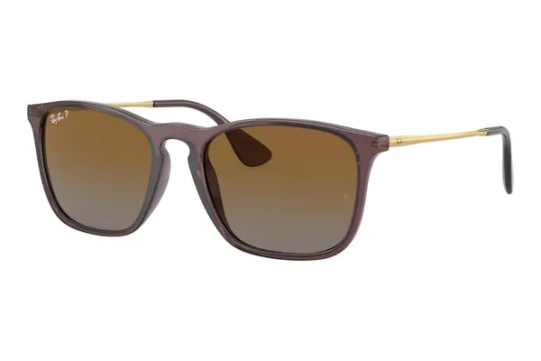 Ray-Ban Chris RB4187 6593T5 Polarized