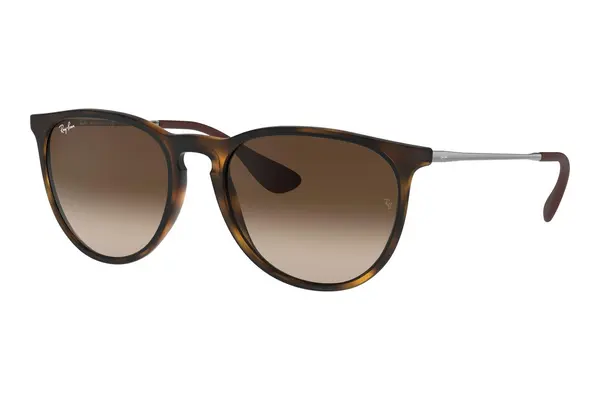 Ray-Ban Erika Classic Havana Collection RB4171 865/13