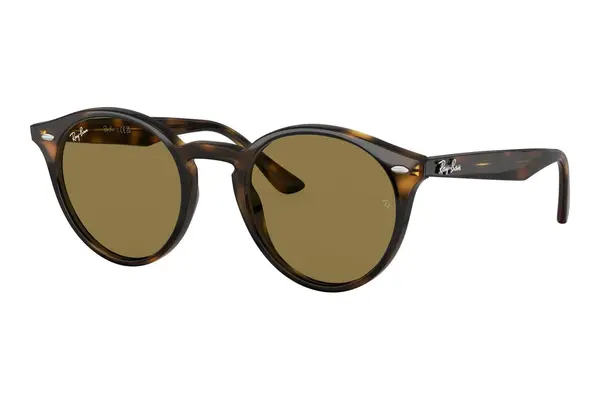 Ray-Ban Havana Collection RB2180 710/73