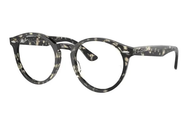 Ray-Ban Larry RX7680V 8117