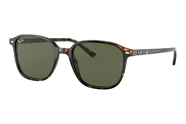 Ray-Ban Leonard RB2193 902/31
