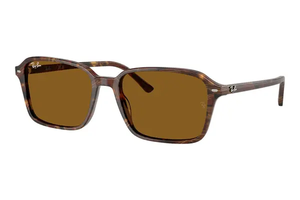 Ray-Ban Raimond RB2231 141833