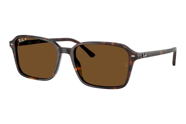 Ray-Ban Raimond RB2231 902/57 Polarized