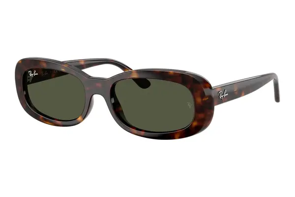 Ray-Ban RB2221 902/31