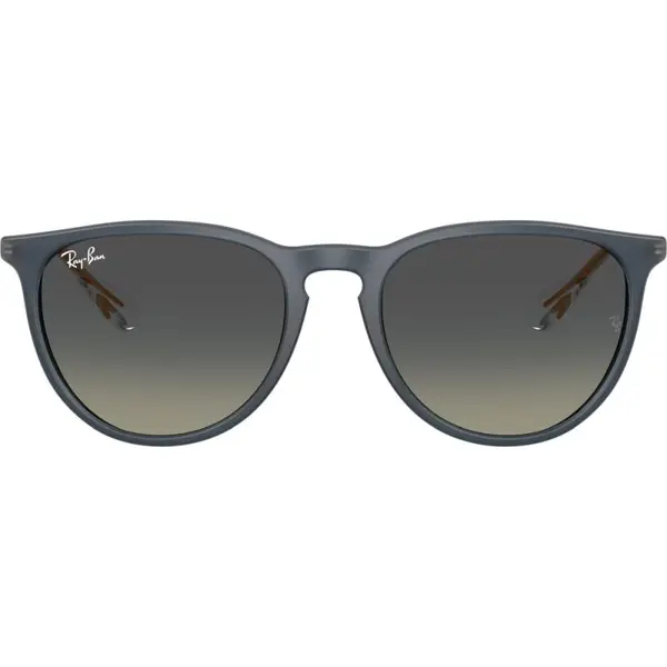 Ray-Ban RB4171 6813/11 54 ERIKA