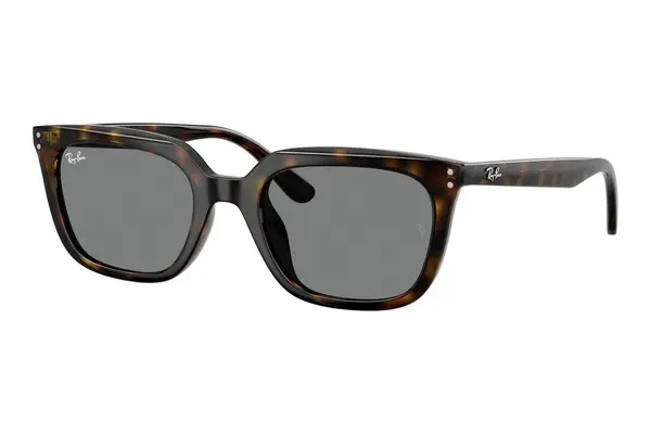 Ray-Ban RB4439D 710/87