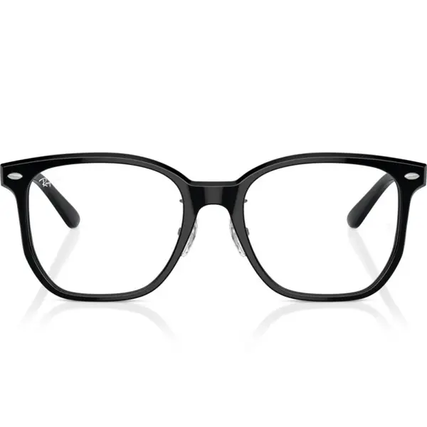 Ray-Ban RX5425D 2000 54