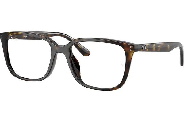 Ray-Ban RX7248D 2012