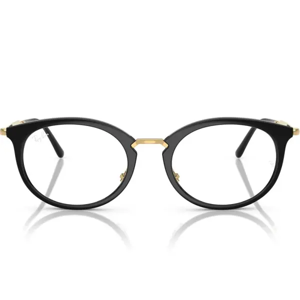 Ray-Ban RX7255 2000 51