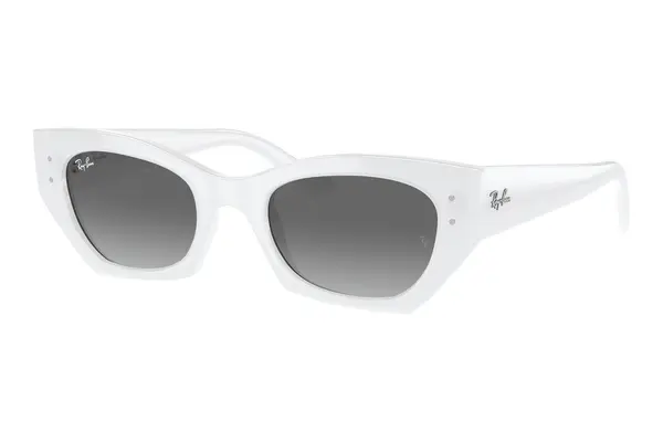 Ray-Ban Zena RB4430 675911