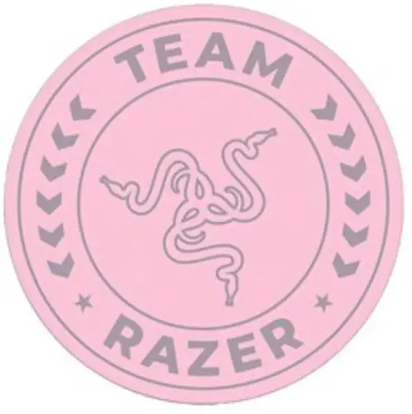 Razer Team floor rug, roz Razer Team floor rug, roz