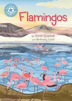 Reading Champion: Flamingos. Independent Reading Non-Fiction Blue 4, Paperback/Sarah Snashall