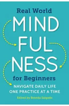 Real World Mindfulness for Beginners: Navigate Daily Life One Practice at a Time - Brenda Salgado