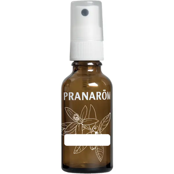 Recipient Spray Sticla 30ml