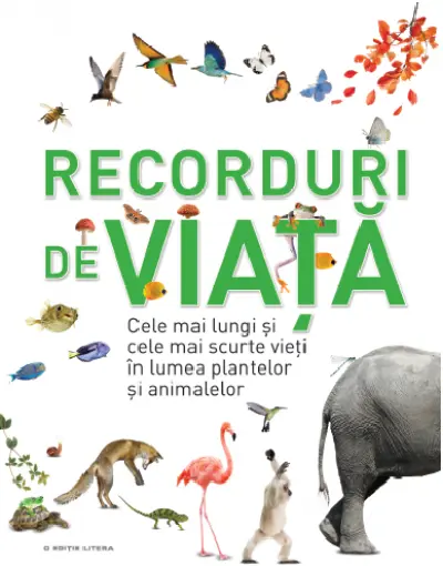 Recorduri de viata |