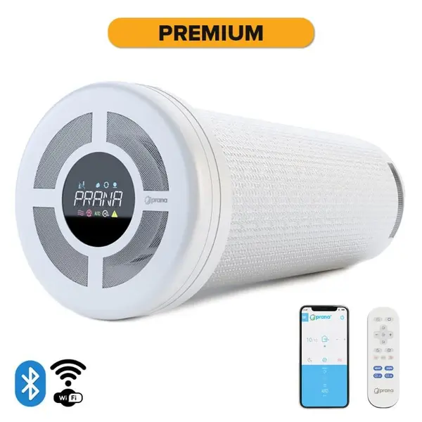 - Recuperator Caldura PRANA 200G PREMIUM - 85mc/h (440mm)