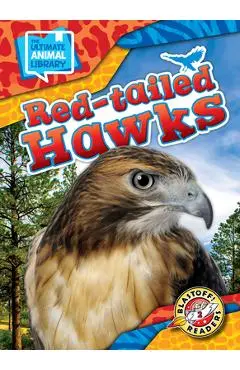 Red-Tailed Hawks - Chris Bowman