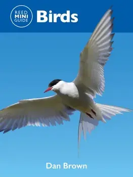 Reed Mini Guide: Birds, Paperback/Dan Brown
