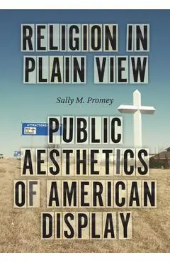 Religion in Plain View: Public Aesthetics of American Display - Sally M. Promey
