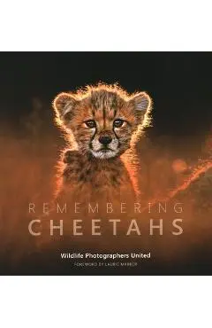 Remembering Cheetahs - Margot Raggett