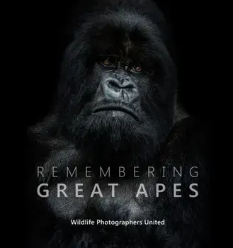 Remembering Great Apes, Hardback/***