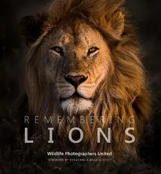 Remembering Lions, Hardback/***