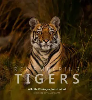 Remembering Tigers, Hardback/***