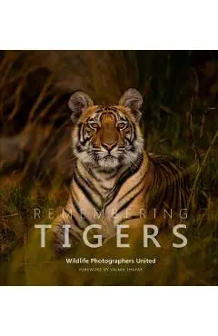 Remembering Tigers - Margot Raggett