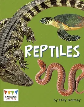 Reptiles, Paperback/Kelly Gaffney