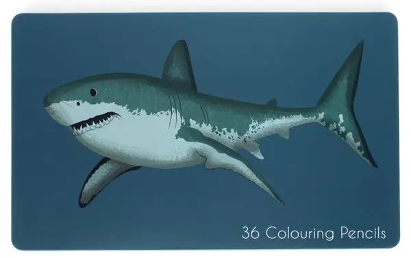 Rex London set de creioane colorate - Sharks, 36 bucăți, în cutie metalică