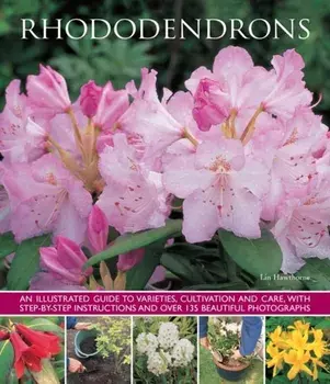 Rhododendrons, Paperback/Lin Hawthorne