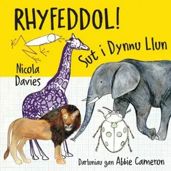 Rhyfeddol! Sut i Dynnu Llun, Paperback/Nicola Davies