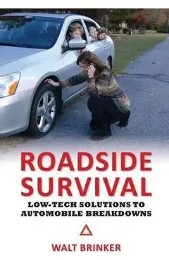 Roadside Survival: Low-Tech Solutions to Automobile Breakdowns - Walter Evans Brinker