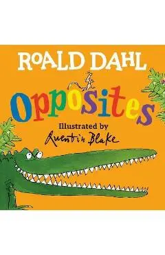 Roald Dahl Opposites - Roald Dahl