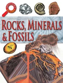 Rocks Minerals and Fossils, Paperback/Neil Curtis