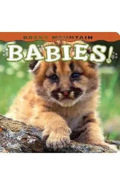 Rocky Mountain Babies! - Wendy Shattil