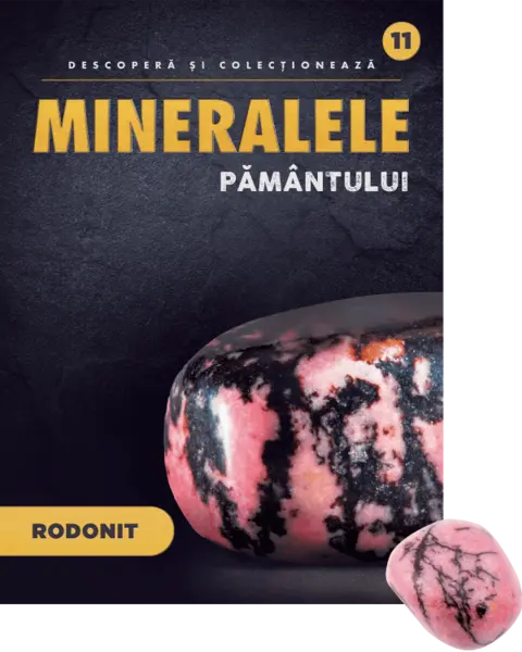 Rodonit. Volumul 11. Mineralele Pamantului