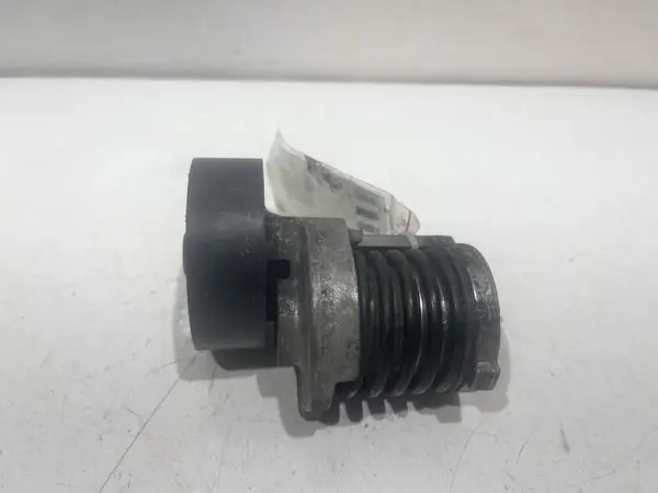 Rola intinzatoare 038903315ah Audi Q5 (2008-2012) [8R] 2.0 tdi