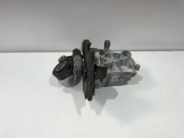 Rola intinzatoare 059145201h Audi A6 (2004-2011) [4F2, C6] 3.0 tdi