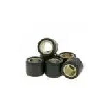 Role variator 16x13 - 5,0gr