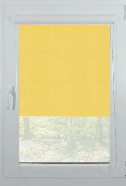 Roleta cu caseta alba Carina 104