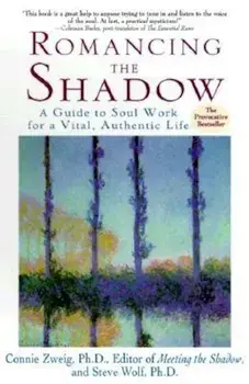 Romancing the Shadow, Paperback/Connie Zweig