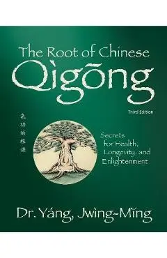 Root of Chinese Qigong 3rd. Ed.: Secrets for Health, Longevity, and Enlightenment - Jwing-ming Yang