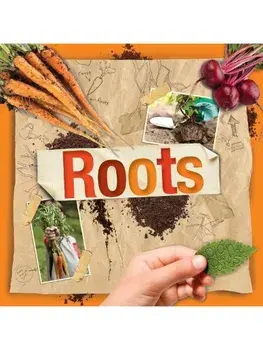 Roots, Paperback/Steffi Cavell-Clarke