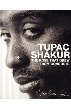 Rose That Grew from Concrete
