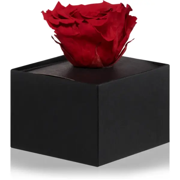 RoseAmor Red trandafir stabilizat în cutie 1 buc