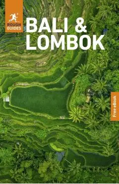 Rough Guides Bali and Lombok: Travel Guide with eBook - Rough Guides